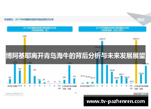 博阿基耶离开青岛海牛的背后分析与未来发展展望