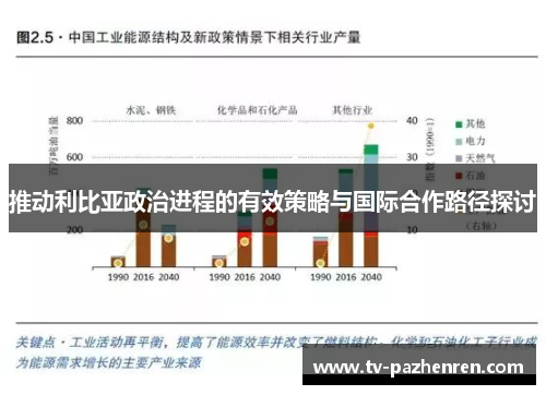 推动利比亚政治进程的有效策略与国际合作路径探讨