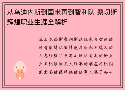 从乌迪内斯到国米再到智利队 桑切斯辉煌职业生涯全解析 从乌迪内斯到国米再到智利队 桑切斯辉煌职业生涯全解析