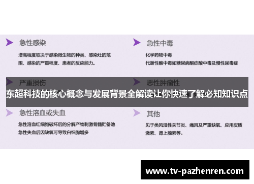 东超科技的核心概念与发展背景全解读让你快速了解必知知识点