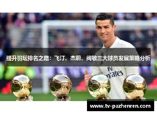 提升羽坛排名之路：飞汀、杰蔚、阀敏三大球员发展策略分析