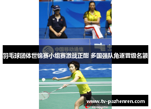 羽毛球团体世锦赛小组赛激战正酣 多国强队角逐晋级名额